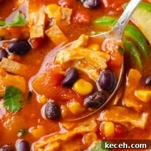 Hearty Chicken Enchilada Soup Recipe with Melted Cheese 2 Spoonful of enchilada soup in bowl