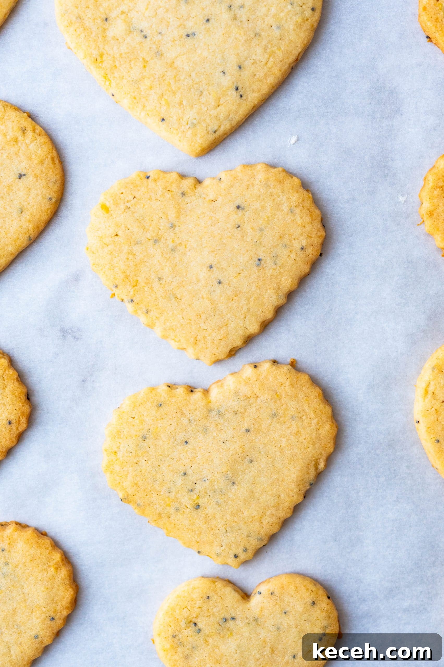 Lemon Poppy Seed Heart-Shaped Sandwich Cookies 8 baked valentine cookies on a baking sheet.