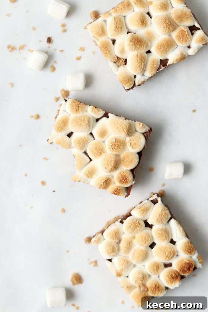 Decadent S'mores Dessert Bars: Gooey Chocolate & Graham Cracker Squares 11 3 marshmallow chocolate bars