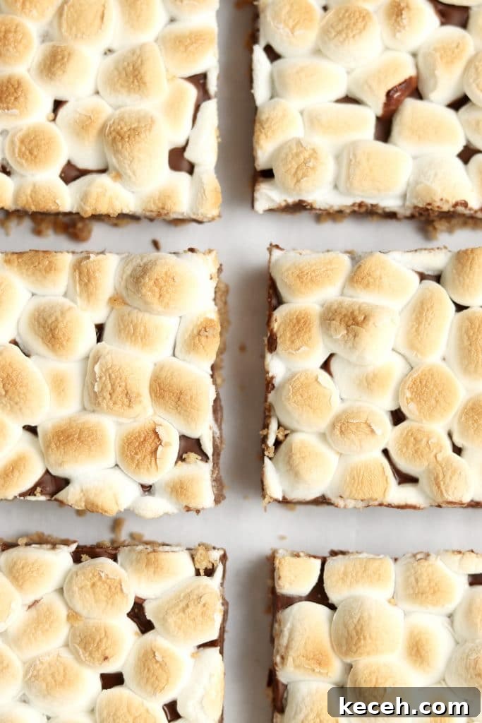 Decadent S'mores Dessert Bars: Gooey Chocolate & Graham Cracker Squares 3 s'mores bars with toasted marshmallows