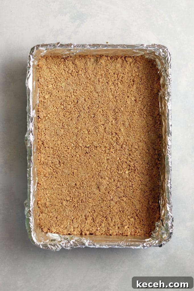 Decadent S'mores Dessert Bars: Gooey Chocolate & Graham Cracker Squares 4 graham cracker crust
