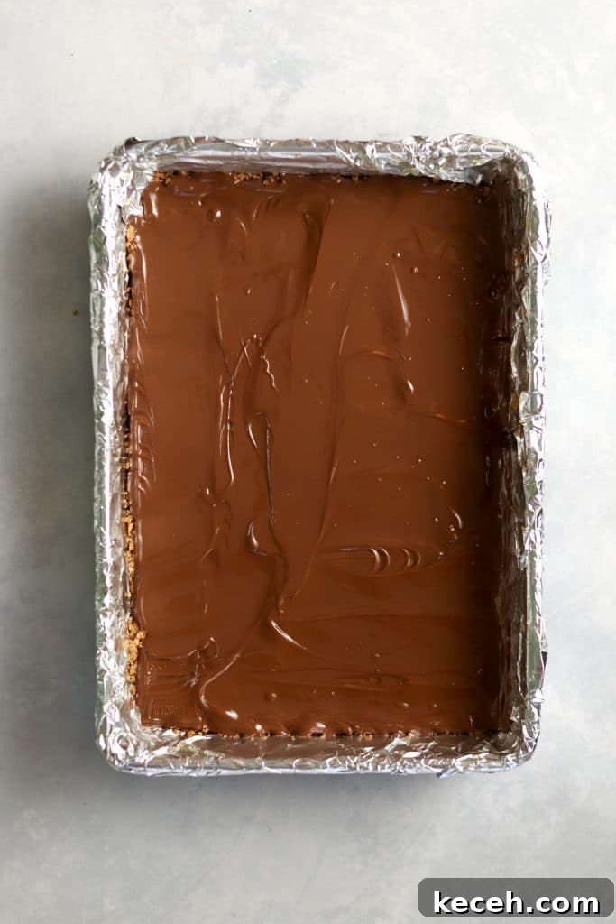 Decadent S'mores Dessert Bars: Gooey Chocolate & Graham Cracker Squares 6 melted chocolate layer