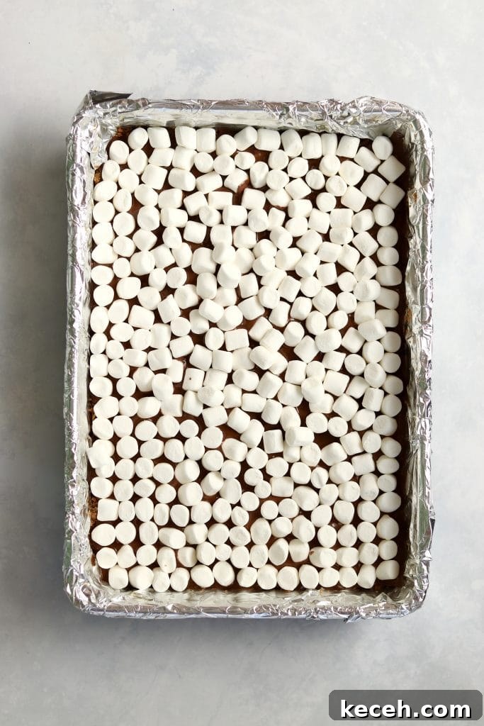 Decadent S'mores Dessert Bars: Gooey Chocolate & Graham Cracker Squares 7 mini marshmallow layer