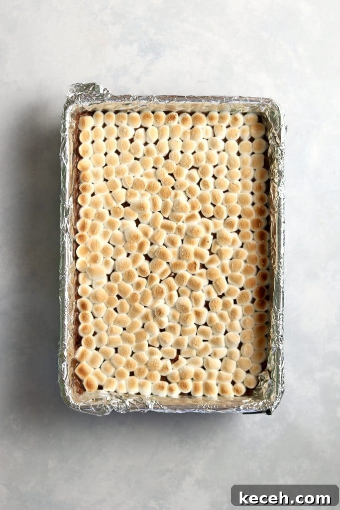 Decadent S'mores Dessert Bars: Gooey Chocolate & Graham Cracker Squares 8 toasted marshmallow layer