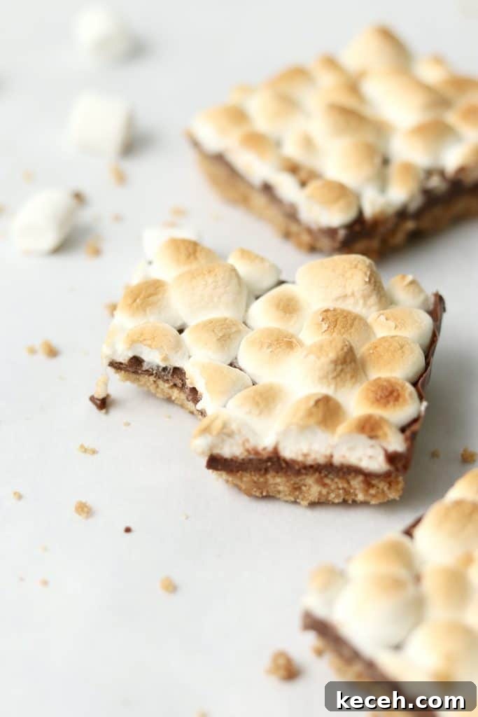 Decadent S'mores Dessert Bars: Gooey Chocolate & Graham Cracker Squares 10 s'mores bar with bite taken