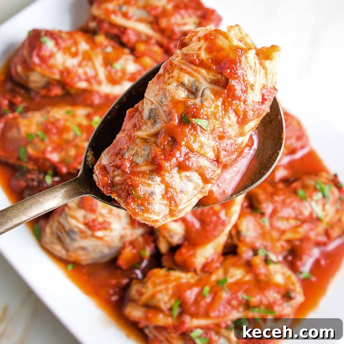 Rosh Hashanah 2026: Festive Recipes and Complete Menu Planner 27 Platter of stuffed cabbage rolls with tomato sauce.