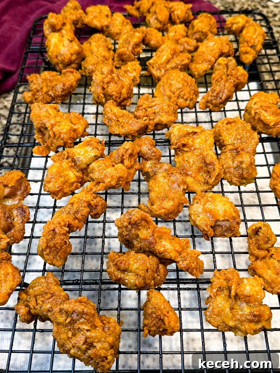 Crispy Fried Chicken Gizzards Recipe: Southern-Style Crunch 8 Overhead view of several pieces of fried chicken gizzards spread out on a cooling rack.