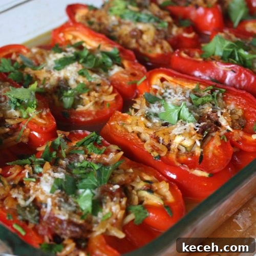Slow Cooker Stuffed Peppers: Simple Step-by-Step Crockpot Recipe 2 stuffed pepper