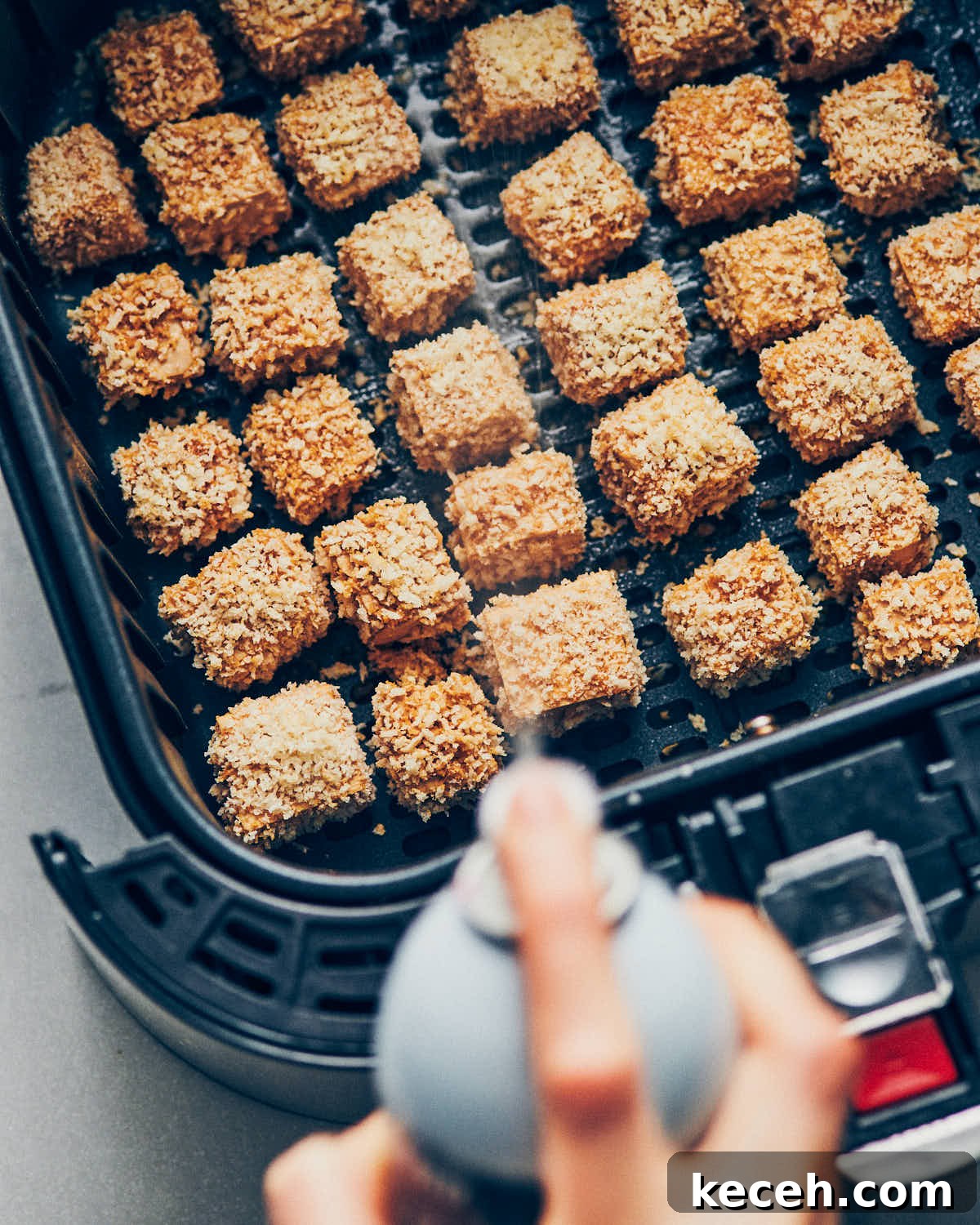 Crispy Air Fryer Breaded Tofu Recipe 14 img 7594 13