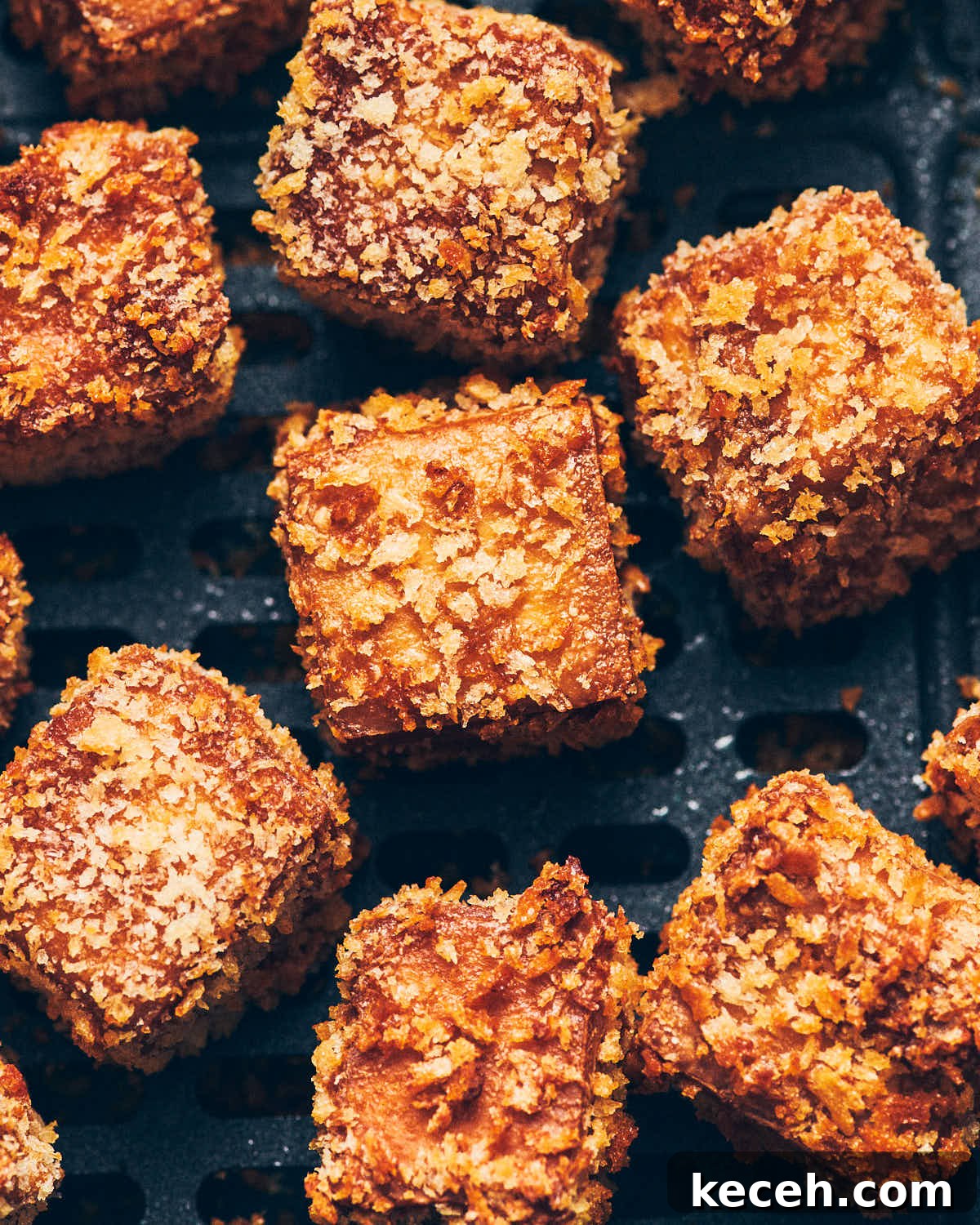 Crispy Air Fryer Breaded Tofu Recipe 15 Close up of crispy breaded air fryer tofu with panko breadcrumb crust