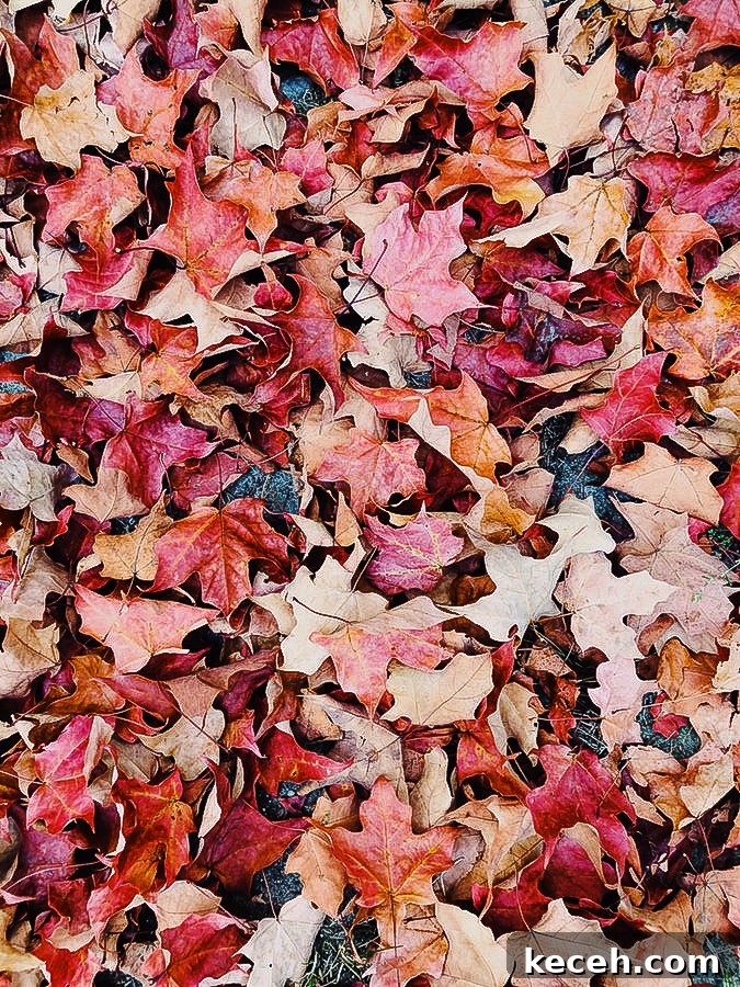 September Things
