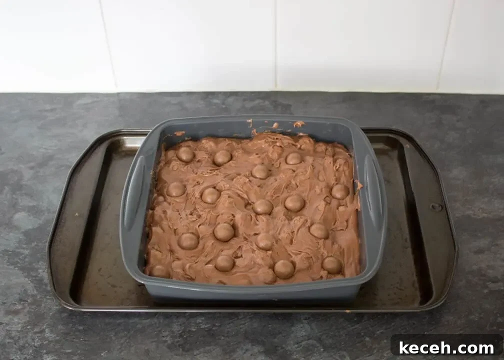 Microwave Maltesers Fudge Recipe — Quick No-Bake Treat 14 Maltesers fudge in a silicone pan with Maltesers pressed on top.