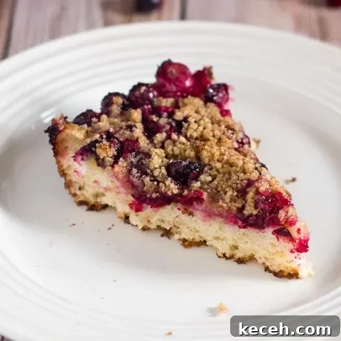 Cranberry crumb cake combines an orange-flavored cake, sugared cranberries and crumb topping for a delicious holiday breakfast or dessert.