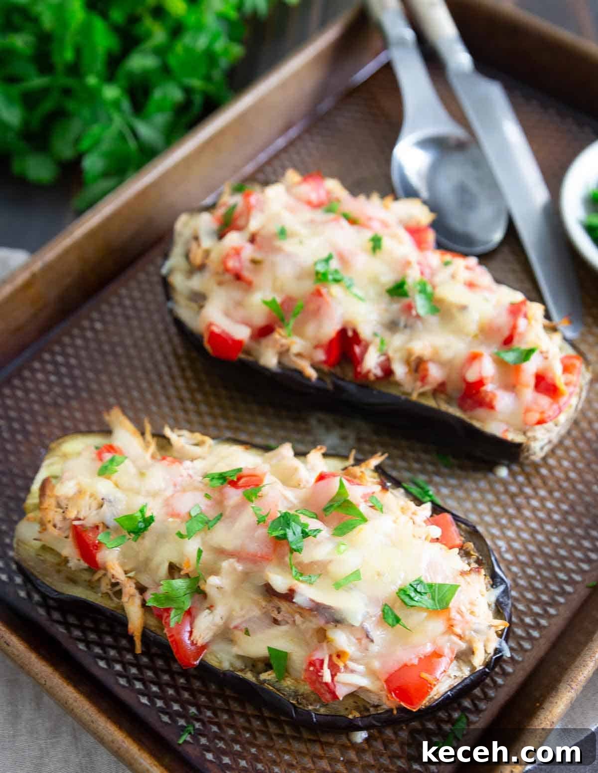 This easy stuffed eggplant recipe with chicken and cheddar cheese is a great dinner option everyone will love and can be made in 30 minutes. This easy stuffed eggplant recipe with chicken and cheddar cheese is a great dinner option everyone will love and can be made in 30 minutes.