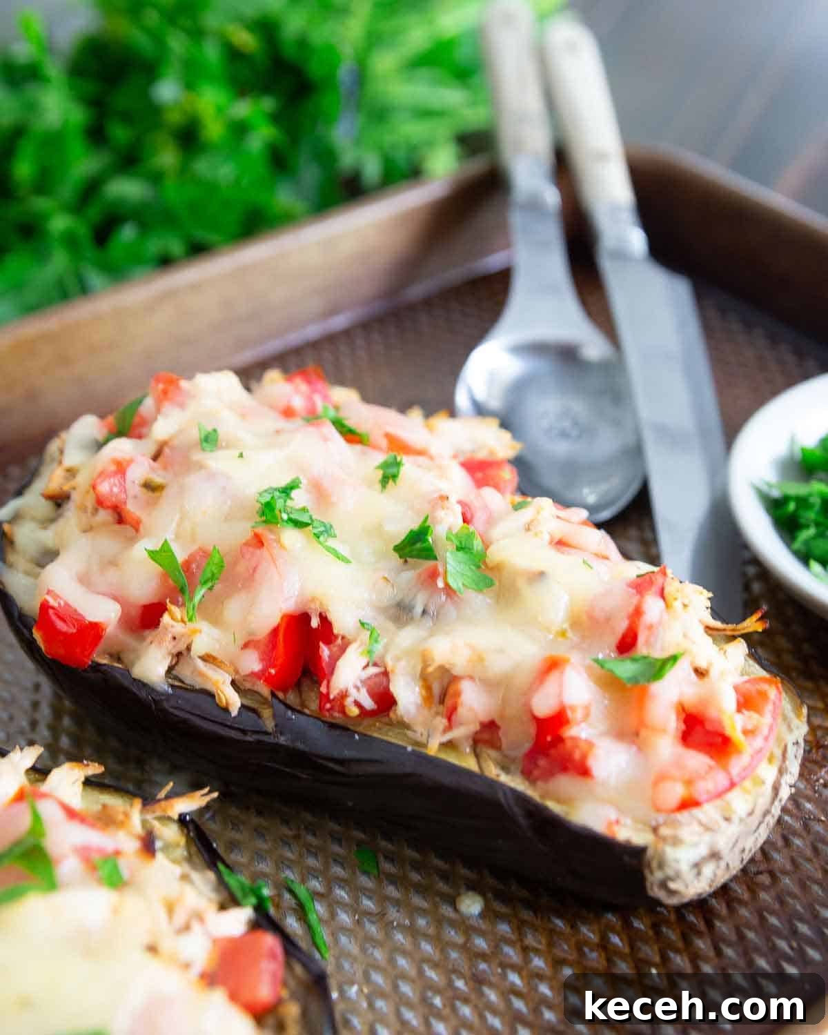 Chicken cheese stuffed eggplant is quick, easy and perfect for a seasonal summer dinner. Chicken cheese stuffed eggplant is quick, easy and perfect for a seasonal summer dinner.