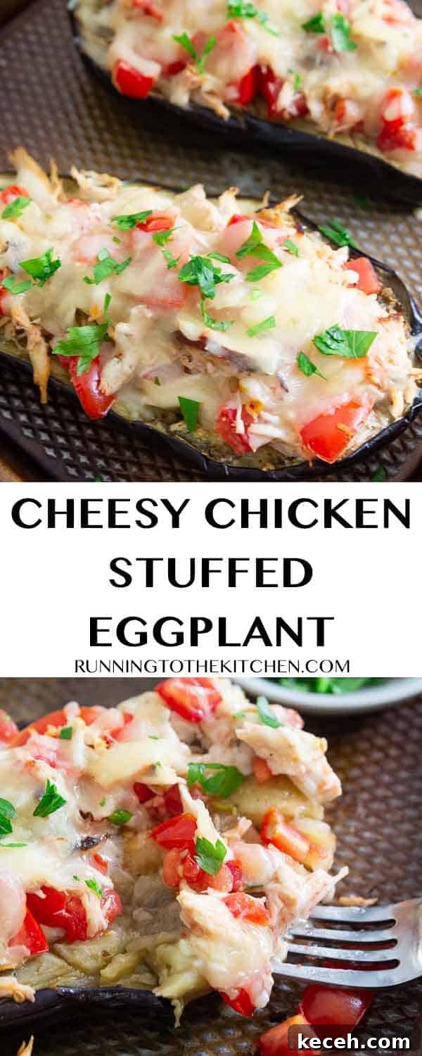 Try this easy stuffed eggplant dinner with chicken and cheddar cheese, everyone will love it! Try this easy stuffed eggplant dinner with chicken and cheddar cheese, everyone will love it!