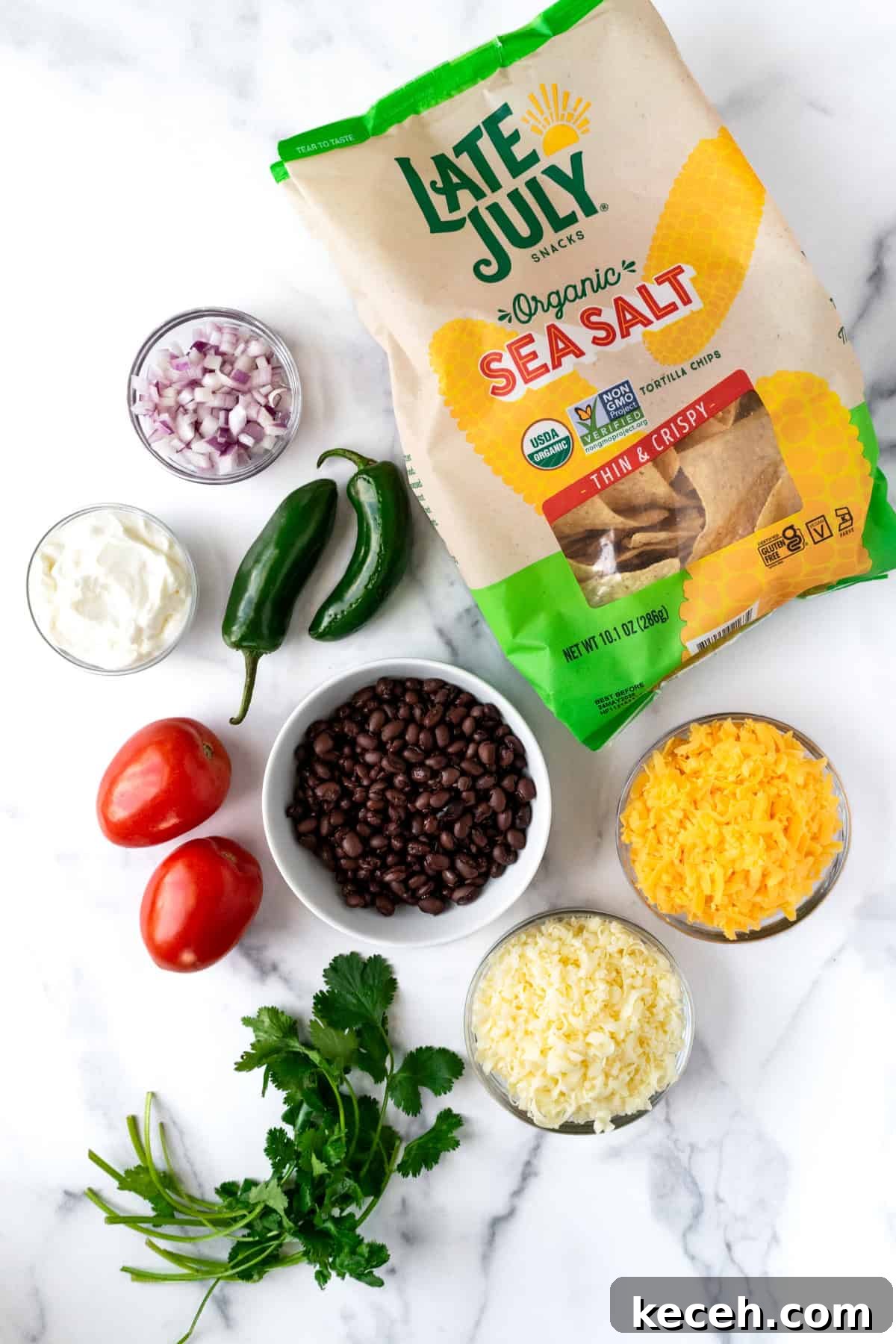 Loaded Black Bean Nachos with Fresh Salsa and Melted Cheese 3 Black Bean Nachos Ingredients.