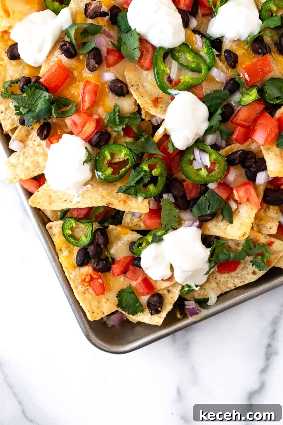 Loaded Black Bean Nachos with Fresh Salsa and Melted Cheese 7 Bean and Cheese Nachos topped with tomatoes, onion, jalapeño, and sour cream.