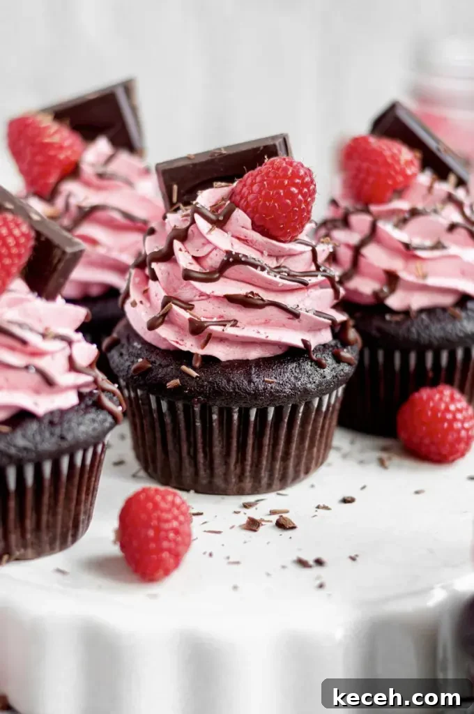 Gluten-Free Chocolate Raspberry Cupcakes with Vegan Option 2 Dark chocolate cupcakes with pink raspberry buttercream swirled on top. There's a bright red raspberry on the top of the frosting swirl with a square of dark chocolate.