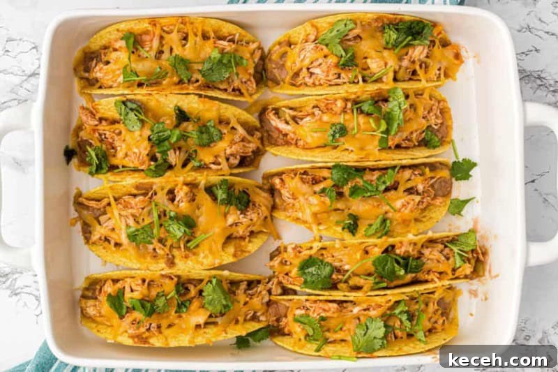 Fresh Summer Dinner Ideas: Light, Flavorful Recipes for Warm Nights 21 Top-down view of the Baked Chicken Tacos in the baking dish.