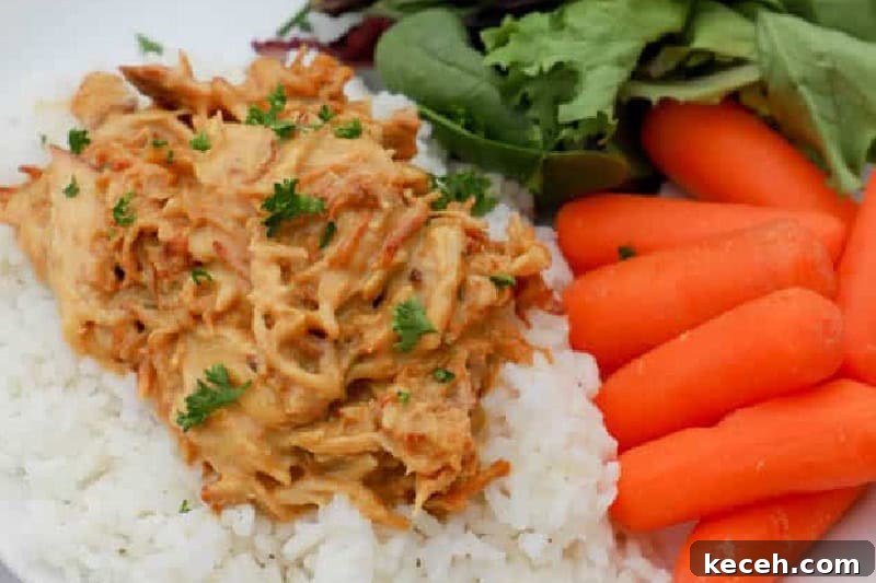 Fresh Summer Dinner Ideas: Light, Flavorful Recipes for Warm Nights 8 closeup of the Slow Cooker Honey mustard chicken served on rice.