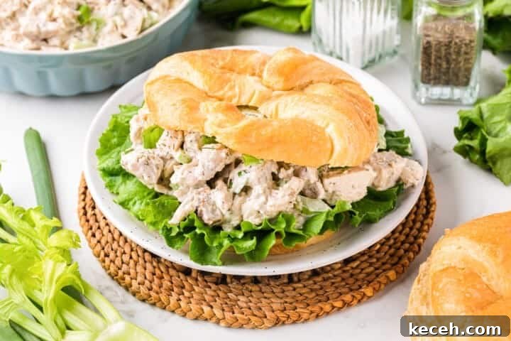 Fresh Summer Dinner Ideas: Light, Flavorful Recipes for Warm Nights 10 Rotisserie Chicken Salad served on a croissant.