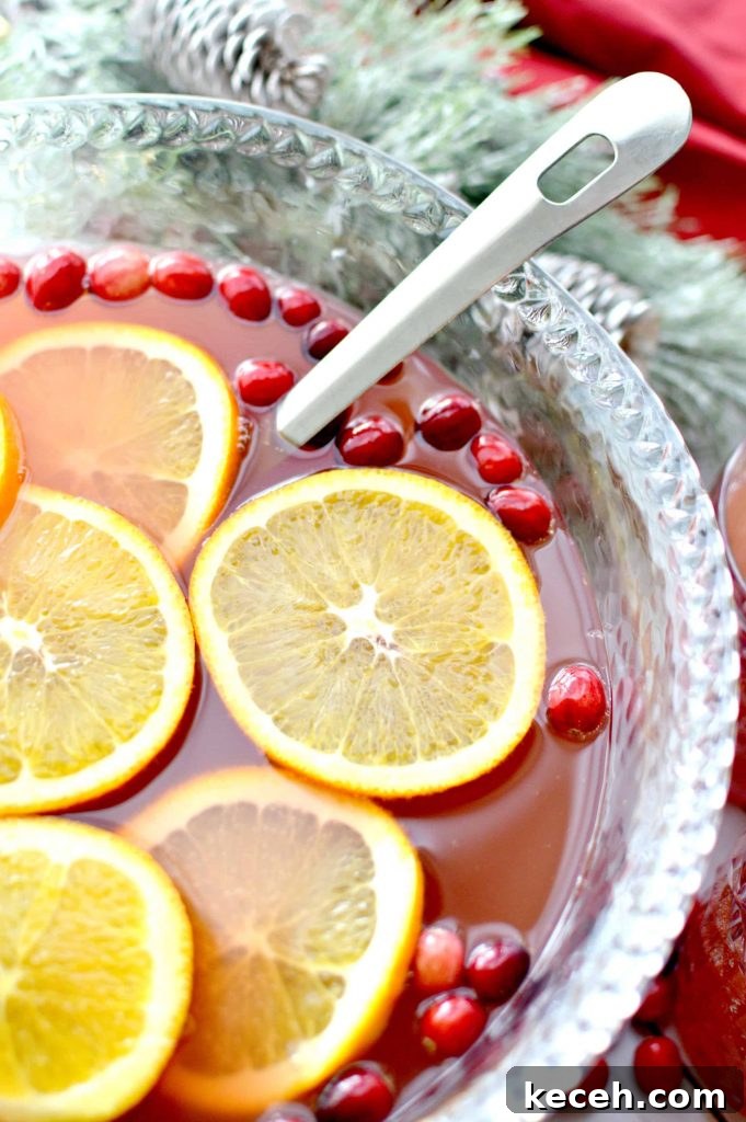 Festive Orange and Cranberry Holiday Punch Recipe 2 img 8598 1