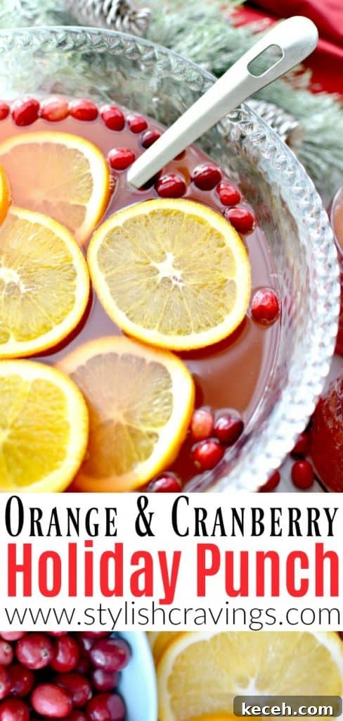 Festive Orange and Cranberry Holiday Punch Recipe 11 img 8598 10