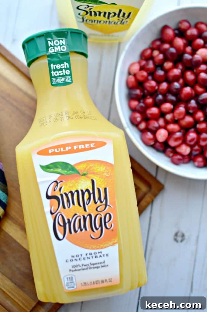Festive Orange and Cranberry Holiday Punch Recipe 3 img 8598 2