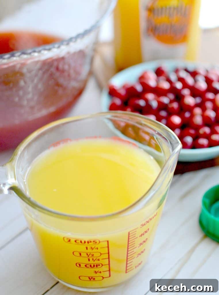 Festive Orange and Cranberry Holiday Punch Recipe 6 img 8598 5