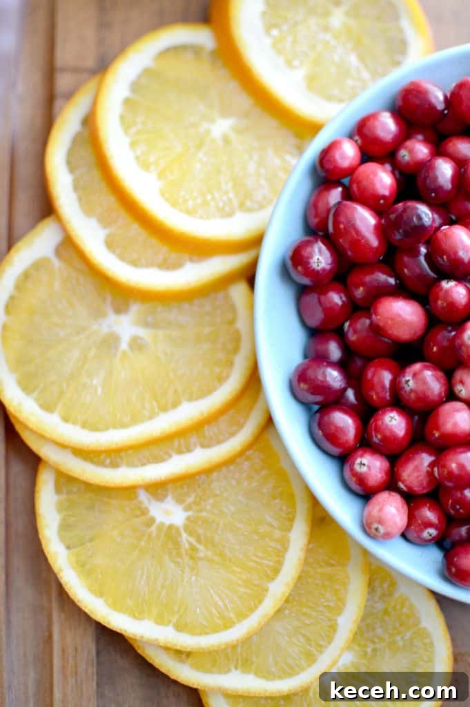 Festive Orange and Cranberry Holiday Punch Recipe 7 img 8598 6