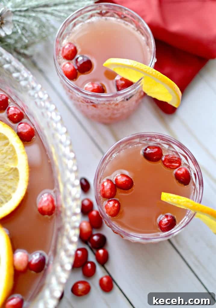 Festive Orange and Cranberry Holiday Punch Recipe 8 img 8598 7