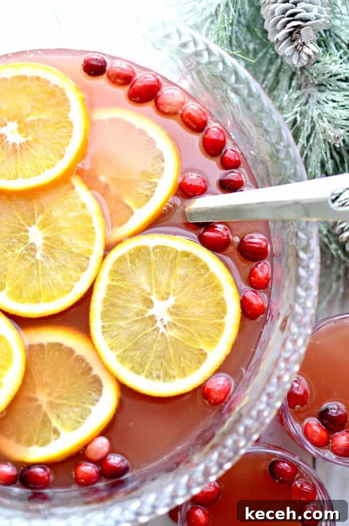 Festive Orange and Cranberry Holiday Punch Recipe 9 img 8598 8