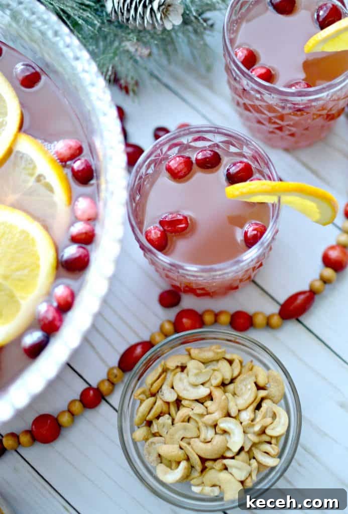 Festive Orange and Cranberry Holiday Punch Recipe 10 img 8598 9
