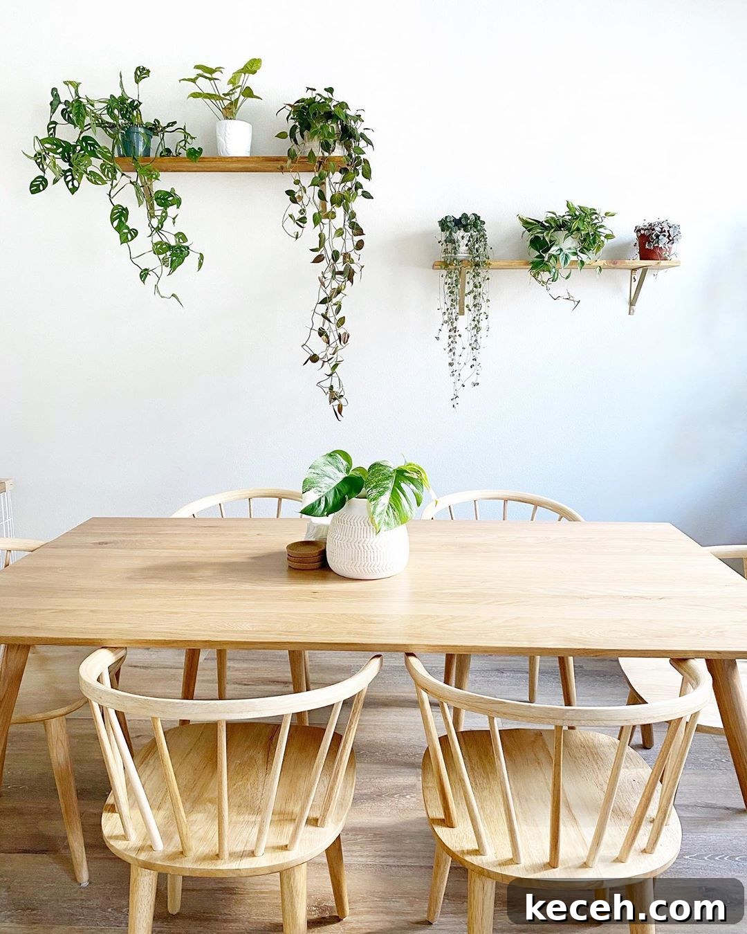 31 Mid-Century Dining Room Ideas to Redefine Your Space 5 Set Up Plant Shelves mid century modern dining room