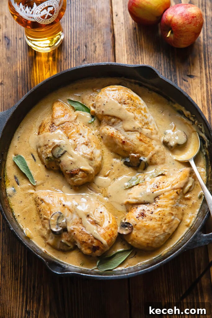 Somerset-Style Chicken Braised in Apple Cider 2 Top down shot of somerset chicken in a pan with creamy cheese sauce