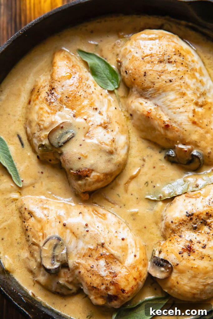 Somerset-Style Chicken Braised in Apple Cider 3 Close up of somerset chicken in a large pan