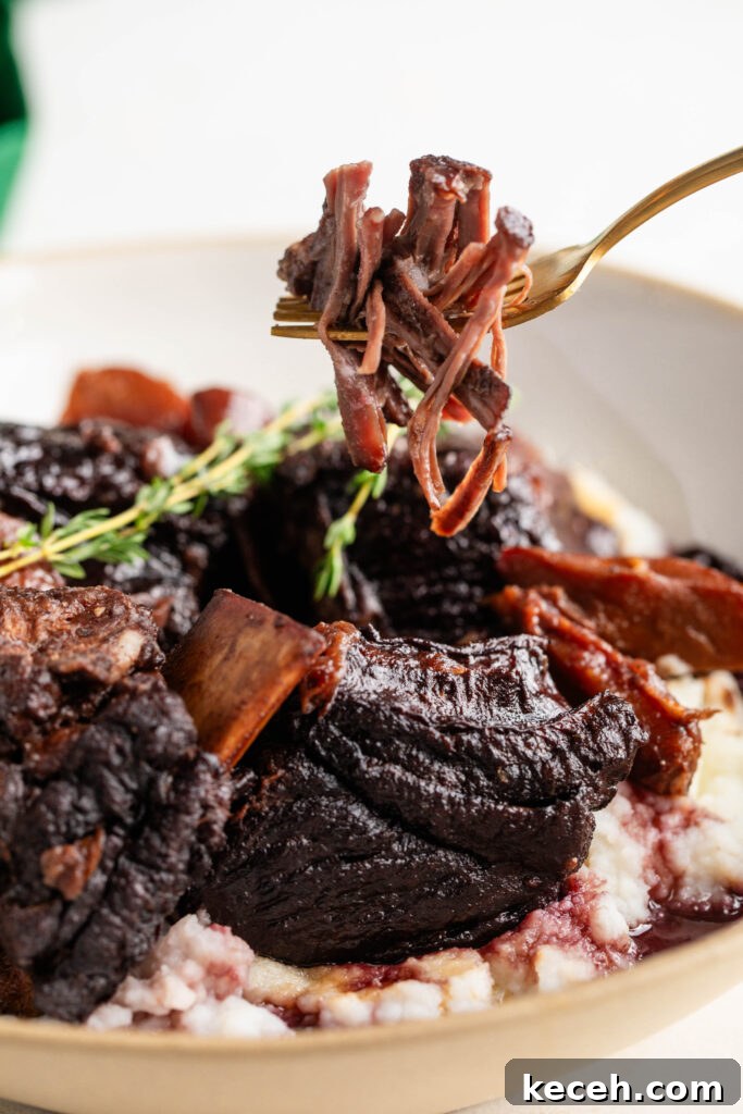 Red Wine Braised Beef Short Ribs with Rich Sauce 2 bowl of braised beef short ribs with a fork full of meat