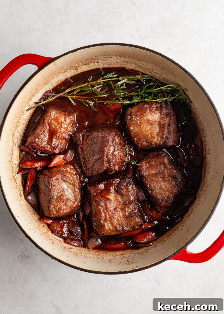 Red Wine Braised Beef Short Ribs with Rich Sauce 7 dutch oven with seared short ribs, sautéed vegetables, fresh herbs, and red wine