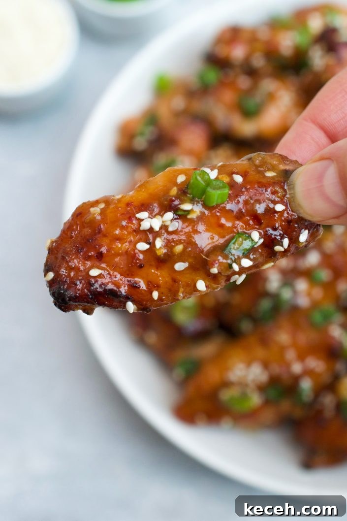 Sticky Asian-Style Chicken Wings with Sweet Soy Glaze 5 Wings with scallions and sesame