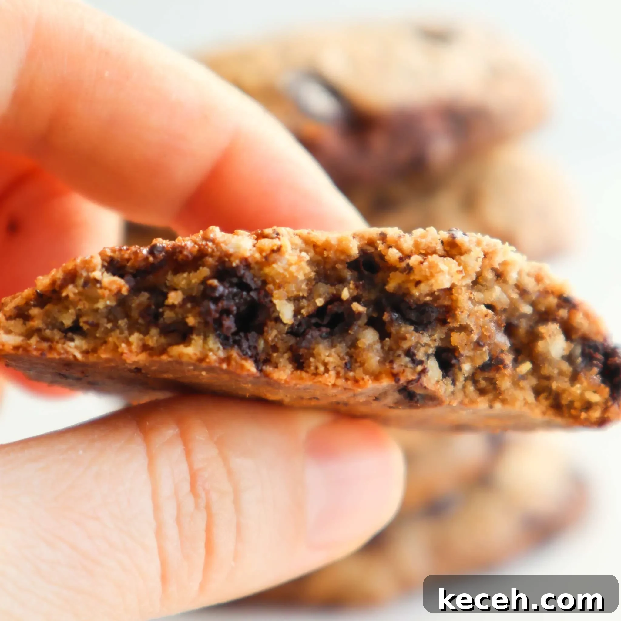 15 Delicious Oat Recipes for Breakfast, Snacks, and Desserts 12 oatmeal cookies