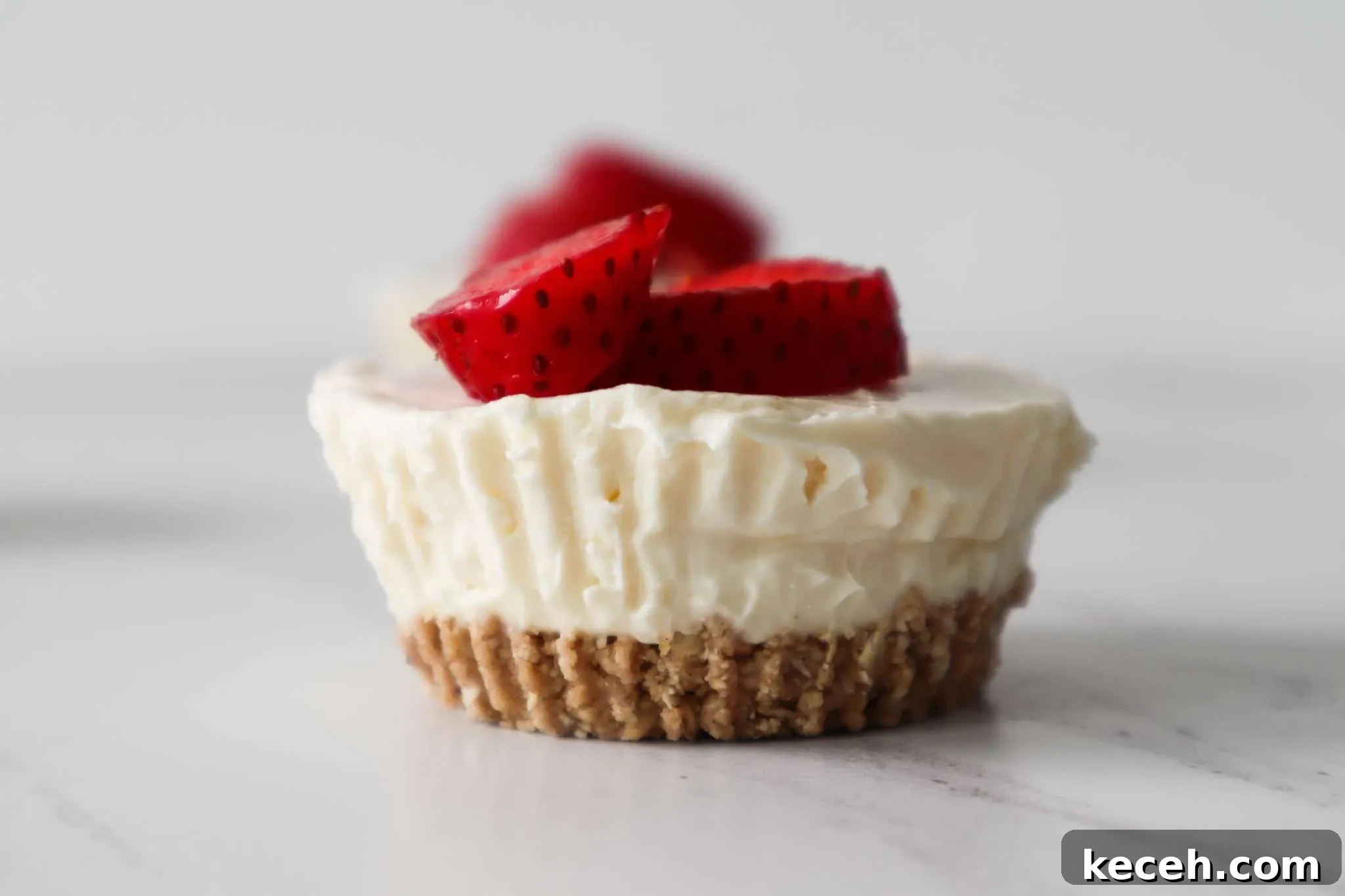 15 Delicious Oat Recipes for Breakfast, Snacks, and Desserts 8 no bake philadelphia cheese cake
