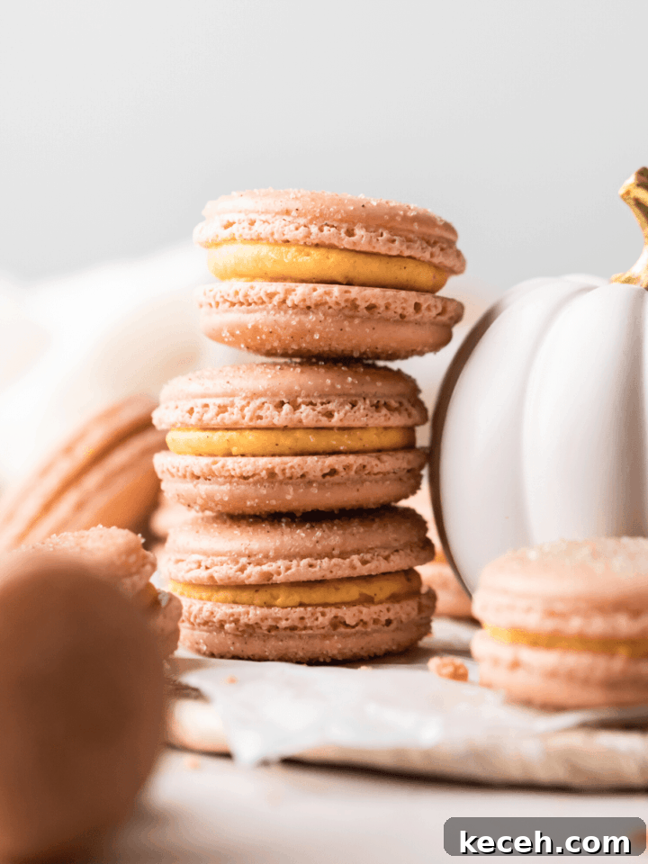 Pumpkin churro macarons with cream cheese filling