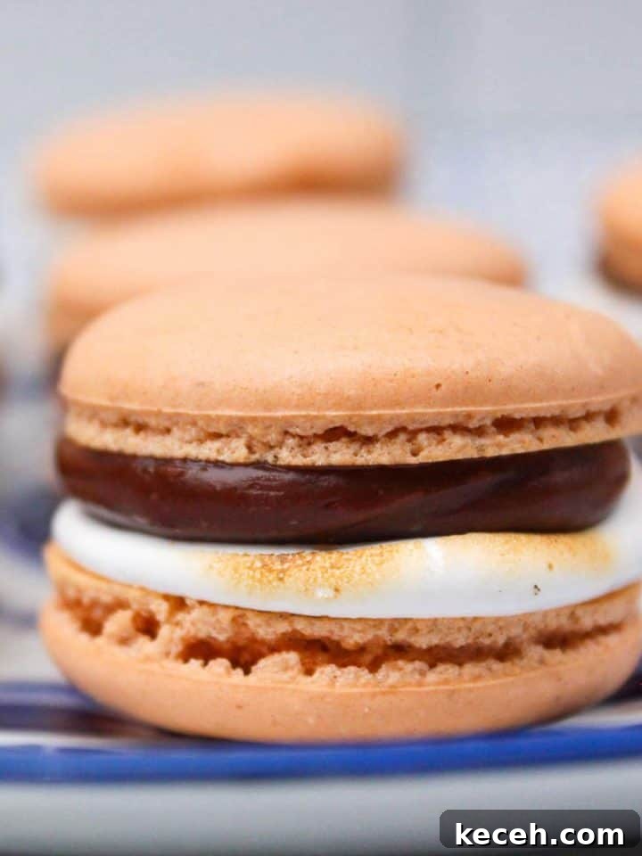 S'mores macaron with chocolate and marshmallow filling.
