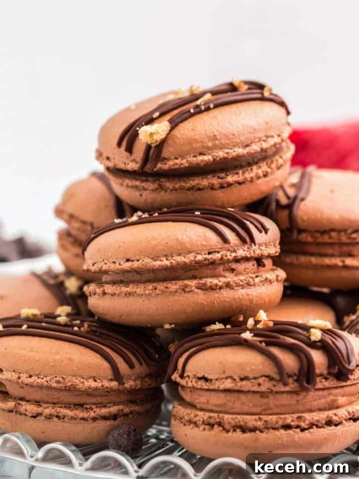 Chocolate macarons with rich chocolate filling
