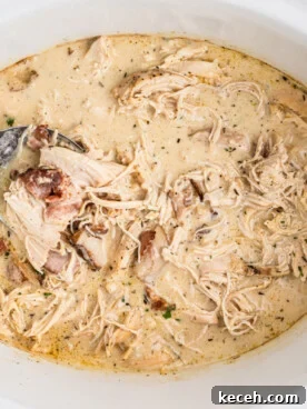 Slow Cooker Chicken in Bacon Gravy — Comforting One-Pot Meal 9 chicken with bacon gravy in a slow cooker on a spoon.